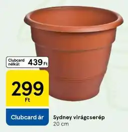 Tesco Sydney virágcserép ajánlat
