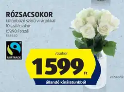 ALDI RÓZSACSOKOR ajánlat