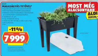 BELAVI MAGASÁGYÁS TETŐVEL