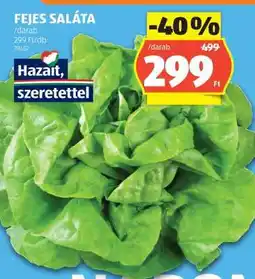 ALDI Fejes saláta ajánlat