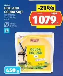 ALDI MILSANI HOLLAND GOUDA SAJT ajánlat
