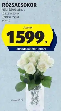 ALDI RÓZSACSOKOR ajánlat