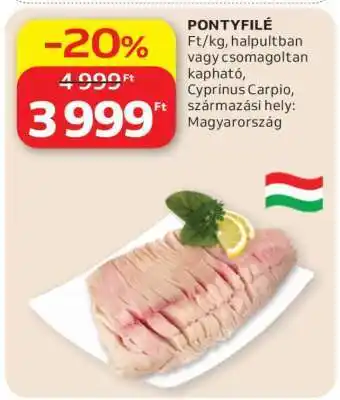 Auchan Pontyfilé ajánlat
