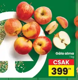 Spar Gála alma ajánlat