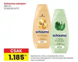 Interspar SCHAUMA Sampon ajánlat