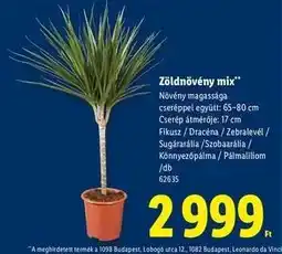 Lidl Zöldnövény mix ajánlat