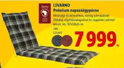 Lidl LIVARNO Prémium napozóágypárna ajánlat