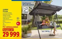 Lidl LIVARNO Hintagy ajánlat