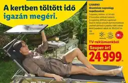 Lidl LIVARNO Alumínium napozóágy napellenzővel ajánlat