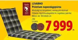 Lidl LIVARNO Prémium napozóágypárna ajánlat