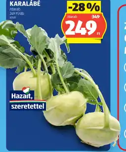 ALDI KARALÁBÉ ajánlat
