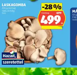 ALDI LASKAGOMBA ajánlat