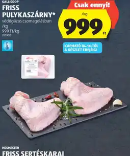 ALDI GALLICOOP PULYKASZÁRNY ajánlat