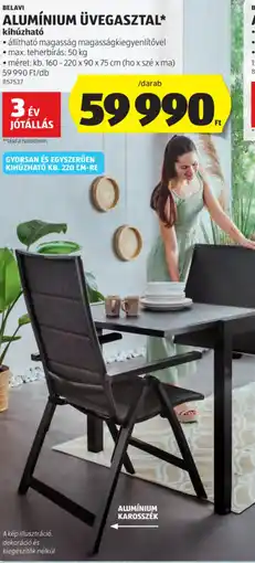 ALDI BELAVI ALUM dekoráció ésNIUM ÜVEGASZTAL ajánlat