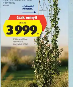 ALDI RELAVI NÖVÉNYFUTTAT ajánlat