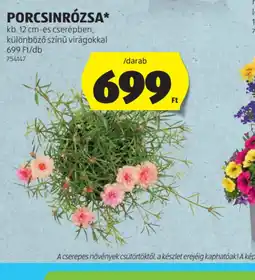ALDI PORCSINRZSA ajánlat