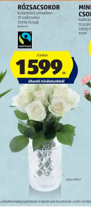 ALDI RZSACSOKOR ajánlat