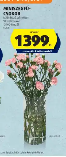 ALDI MINISZEGFŰ-CSOKOR ajánlat