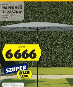 ALDI BELAVI NAPERNŐ TERASZRA ajánlat