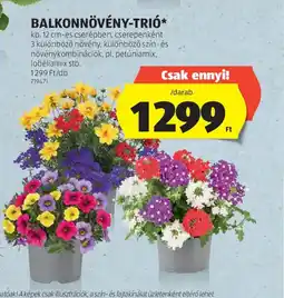 ALDI BALKONNÖVÉNY-TRI ajánlat