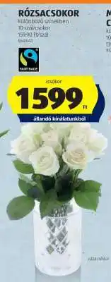 ALDI RÓZSACSOKOR ajánlat