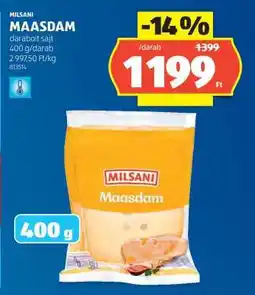 ALDI Milsani Maasdam ajánlat
