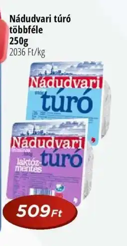 Real Nádudvari túró ajánlat