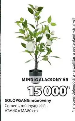 JYSK SOLOPGANG műnövény ajánlat