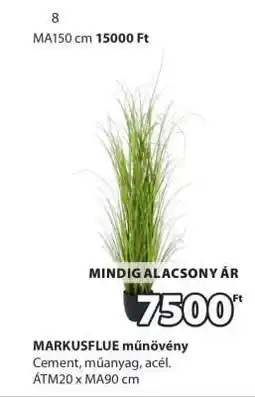 JYSK MARKUSFLUE MŰNÖVÉNY ajánlat