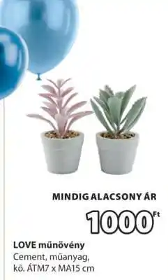 JYSK LOVE műnövény ajánlat
