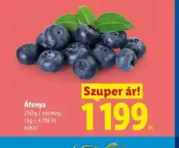 Lidl Áfonya ajánlat