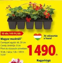 Lidl Magyar musktáli ajánlat
