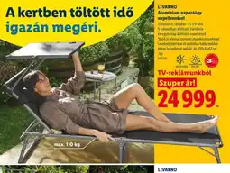 Lidl LIVARNO Alumínium napozágy ajánlat