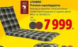 Lidl LIVARNO Prémium napozágypárna ajánlat