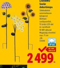 Lidl LIVARNO Szolár dekorlámpa ajánlat