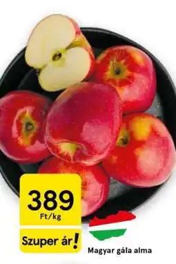 Tesco Magyar gála alma ajánlat