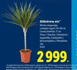 Lidl Zöldnövény mix ajánlat