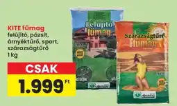 Interspar KITE fűmag ajánlat