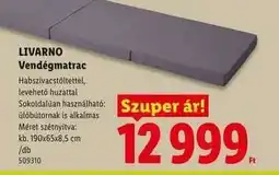 Lidl Livarno Vendégmatrac ajánlat