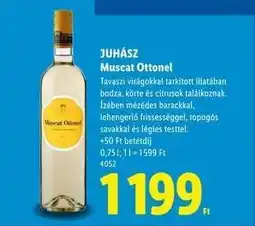 Lidl JUHÁSZ Muscat Ottonel ajánlat