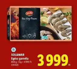 Lidl SOL&MAR ajánlat