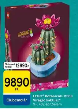 Tesco LEGO Botanicals 11509 Virágzó kaktusz ajánlat
