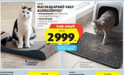 ALDI CACHET MACSKAKAPAR VAGY ALOMSZŐNYEG ajánlat