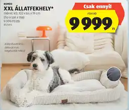 ALDI ROMEO XXL ÁLLATFEKHELY ajánlat
