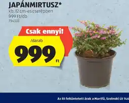 ALDI JAPÁNMIRTUSZ ajánlat