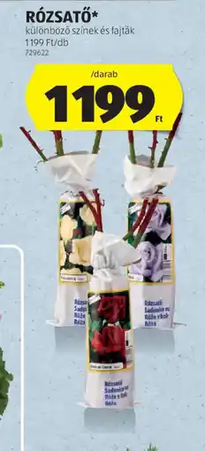 ALDI RZSATŐ ajánlat