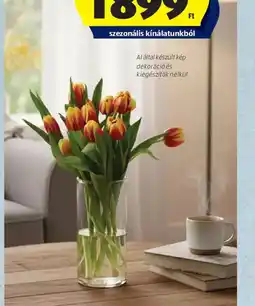 ALDI TULIPÁNCSOKOR ajánlat