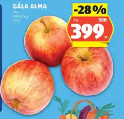 ALDI GÁLA ALMA ajánlat