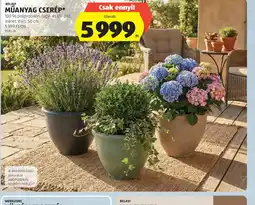 ALDI BELAVI MŰANYAG CSERÉP ajánlat