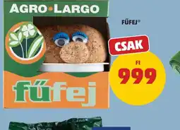PENNY AGRO LARGO FŰFEJ ajánlat